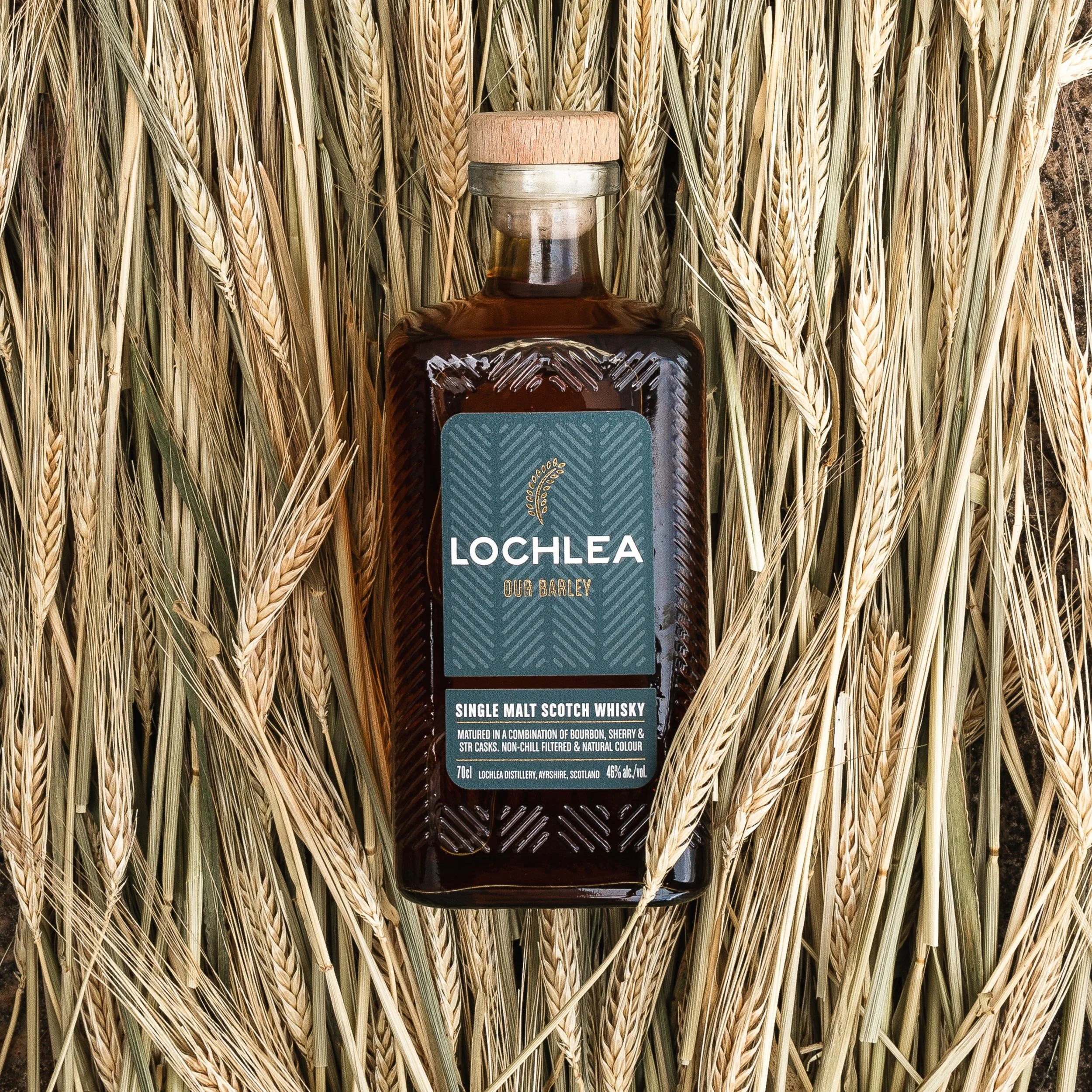 OUR BARLEY New — Lochlea Distillery | Whisky Distillery, Ayrshire